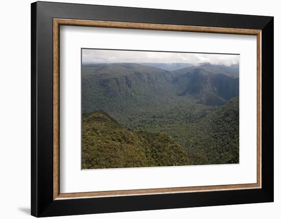 Aerial View of Mountainous Rainforest in Guyana, South America-Mick Baines & Maren Reichelt-Framed Photographic Print