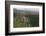 Aerial View of Mountainous Rainforest in Guyana, South America-Mick Baines & Maren Reichelt-Framed Photographic Print