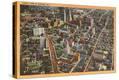 Stretched Canvas Print