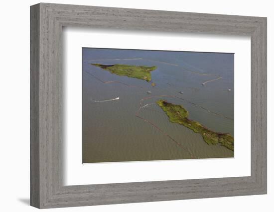 Aerial View of Oiled Bird Nesting Colonies in Barataria Bay Area of the Mississippi River Delta-Gerrit Vyn-Framed Photographic Print