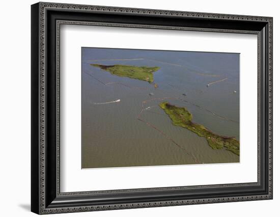 Aerial View of Oiled Bird Nesting Colonies in Barataria Bay Area of the Mississippi River Delta-Gerrit Vyn-Framed Photographic Print