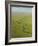 Aerial View of Okavango Delta-Michele Westmorland-Framed Photographic Print