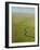 Aerial View of Okavango Delta-Michele Westmorland-Framed Photographic Print