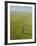 Aerial View of Okavango Delta-Michele Westmorland-Framed Photographic Print