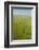 Aerial View of Okavango Delta-Michele Westmorland-Framed Photographic Print