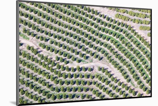 Aerial View of Orange Grove in Ventura County, Ojai, California-Joseph Sohm-Mounted Photographic Print