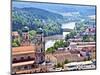 Aerial View of Passau, Germany-Miva Stock-Mounted Photographic Print