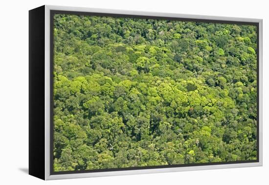 Aerial View of Pristine Rainforest Canopy, Guyana, South America-Mick Baines & Maren Reichelt-Framed Premier Image Canvas