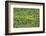 Aerial View of Pristine Rainforest Canopy, Guyana, South America-Mick Baines & Maren Reichelt-Framed Photographic Print