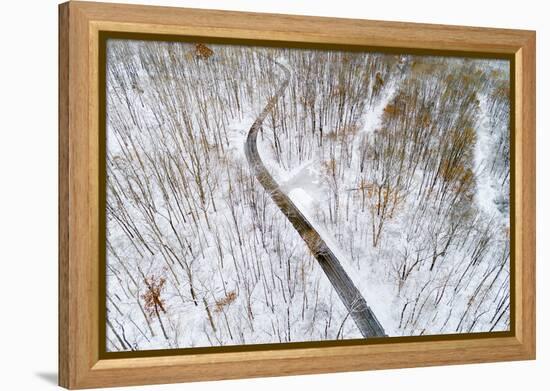 Aerial view of road in forest in winter, Marion Co., Illinois, USA-Panoramic Images-Framed Premier Image Canvas