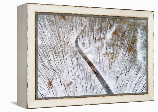 Aerial view of road in forest in winter, Marion Co., Illinois, USA-Panoramic Images-Framed Premier Image Canvas