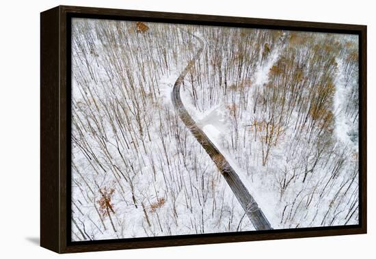 Aerial view of road in forest in winter, Marion Co., Illinois, USA-Panoramic Images-Framed Premier Image Canvas