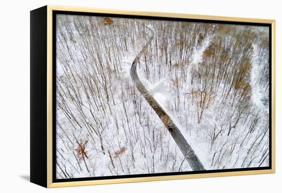 Aerial view of road in forest in winter, Marion Co., Illinois, USA-Panoramic Images-Framed Premier Image Canvas