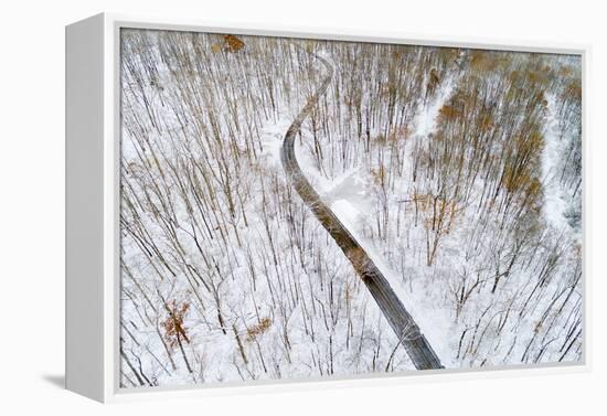 Aerial view of road in forest in winter, Marion Co., Illinois, USA-Panoramic Images-Framed Premier Image Canvas