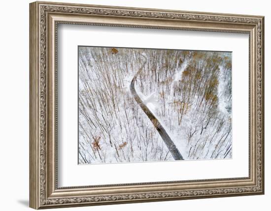 Aerial view of road in forest in winter, Marion Co., Illinois, USA-Panoramic Images-Framed Photographic Print