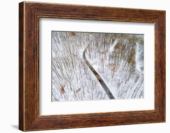 Aerial view of road in forest in winter, Marion Co., Illinois, USA-Panoramic Images-Framed Photographic Print