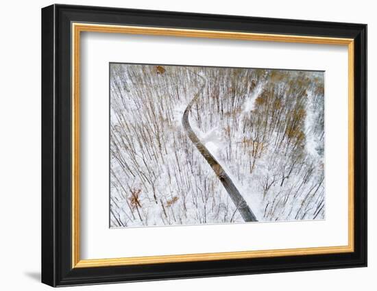Aerial view of road in forest in winter, Marion Co., Illinois, USA-Panoramic Images-Framed Photographic Print