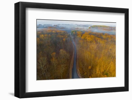 Aerial view of road in forest, Stephen A. Forbes State Park, Marion Co., Illinois, USA-Panoramic Images-Framed Photographic Print
