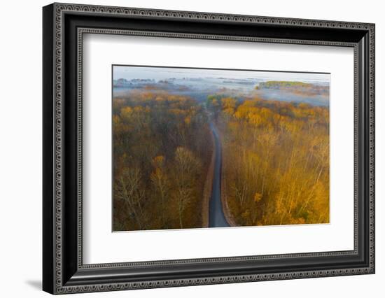 Aerial view of road in forest, Stephen A. Forbes State Park, Marion Co., Illinois, USA-Panoramic Images-Framed Photographic Print