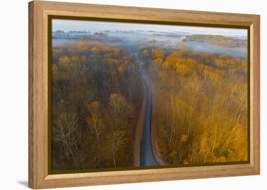 Aerial view of road in forest, Stephen A. Forbes State Park, Marion Co., Illinois, USA-Panoramic Images-Framed Premier Image Canvas