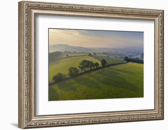 Aerial view of rolling countryside at dawn on a hazy summer day, Devon, England-Adam Burton-Framed Photographic Print