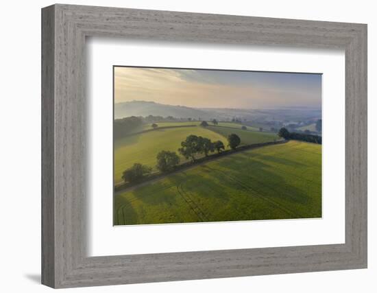 Aerial view of rolling countryside at dawn on a hazy summer day, Devon, England-Adam Burton-Framed Photographic Print