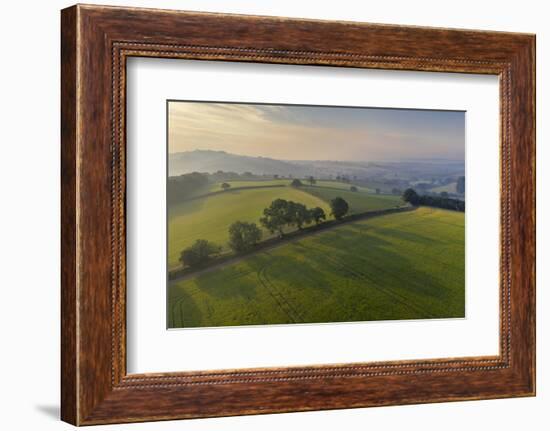 Aerial view of rolling countryside at dawn on a hazy summer day, Devon, England-Adam Burton-Framed Photographic Print