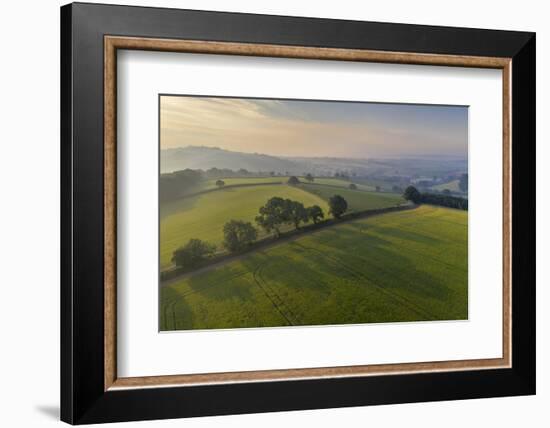 Aerial view of rolling countryside at dawn on a hazy summer day, Devon, England-Adam Burton-Framed Photographic Print