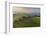 Aerial view of rolling countryside at dawn on a hazy summer day, Devon, England-Adam Burton-Framed Photographic Print