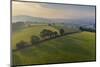 Aerial view of rolling countryside at dawn on a hazy summer day, Devon, England-Adam Burton-Mounted Photographic Print