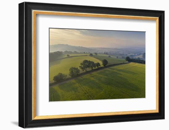 Aerial view of rolling countryside at dawn on a hazy summer day, Devon, England-Adam Burton-Framed Photographic Print