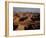 Aerial View of Rooftops in the Forbidden City-Dmitri Kessel-Framed Photographic Print