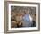 Aerial View of San Giovanni Baptistry, Piazza Del Duomo, Pistoia, Tuscany, Italy-Bruno Morandi-Framed Photographic Print