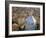 Aerial View of San Giovanni Baptistry, Piazza Del Duomo, Pistoia, Tuscany, Italy-Bruno Morandi-Framed Photographic Print