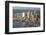 Aerial View of Seattle, Washington State, USA-Stuart Westmorland-Framed Photographic Print