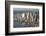 Aerial View of Seattle, Washington State, USA-Stuart Westmorland-Framed Photographic Print