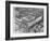 Aerial View of Shibe Park-null-Framed Photographic Print