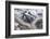 Aerial view of snow mountain and glacier on Tibetan Plateau, China-Keren Su-Framed Photographic Print