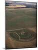 Aerial View of Stonehenge, Unesco World Heritage Site, Salisbury Plain, Wiltshire, England-Adam Woolfitt-Mounted Photographic Print