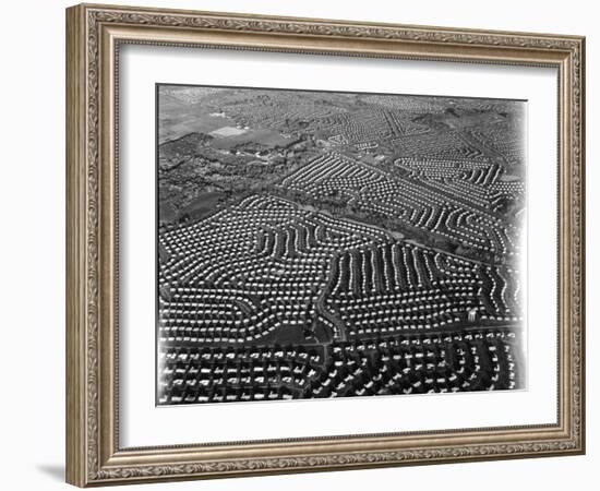 Aerial View of Suburban Housing Development Outside of Philadelphia-Margaret Bourke-White-Framed Photographic Print