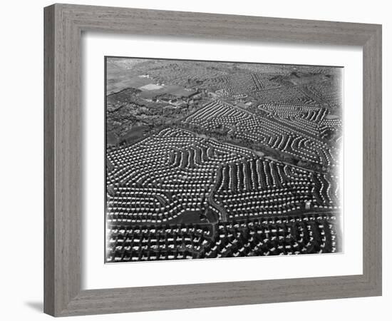 Aerial View of Suburban Housing Development Outside of Philadelphia-Margaret Bourke-White-Framed Photographic Print