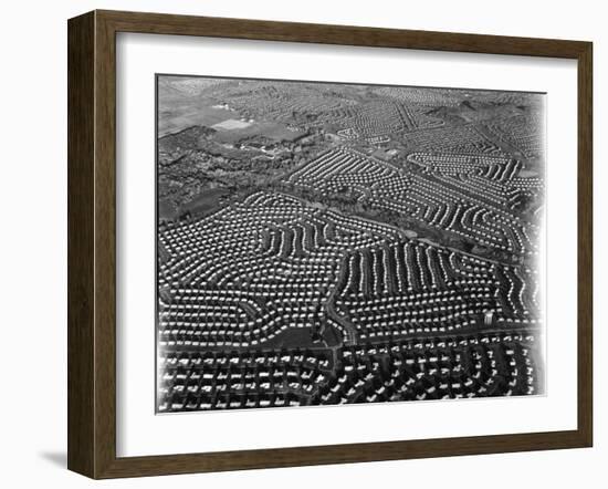 Aerial View of Suburban Housing Development Outside of Philadelphia-Margaret Bourke-White-Framed Photographic Print