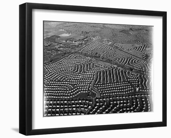 Aerial View of Suburban Housing Development Outside of Philadelphia-Margaret Bourke-White-Framed Photographic Print