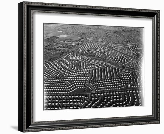 Aerial View of Suburban Housing Development Outside of Philadelphia-Margaret Bourke-White-Framed Photographic Print