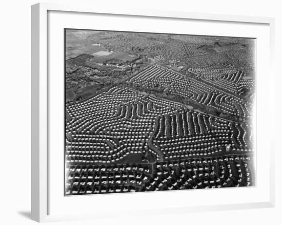 Aerial View of Suburban Housing Development Outside of Philadelphia-Margaret Bourke-White-Framed Photographic Print