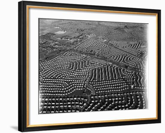 Aerial View of Suburban Housing Development Outside of Philadelphia-Margaret Bourke-White-Framed Photographic Print