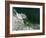 Aerial view of the beach, Newport, Lincoln County, Oregon, USA-Panoramic Images-Framed Photographic Print