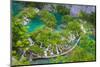 Aerial view of the boardwalk at Plitvice Lakes National Park, Croatia-Jordan Banks-Mounted Photographic Print