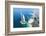 Aerial View of the Burj Al Arab, Dubai, United Arab Emirates-Bill Bachmann-Framed Photographic Print