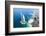 Aerial View of the Burj Al Arab, Dubai, United Arab Emirates-Bill Bachmann-Framed Photographic Print